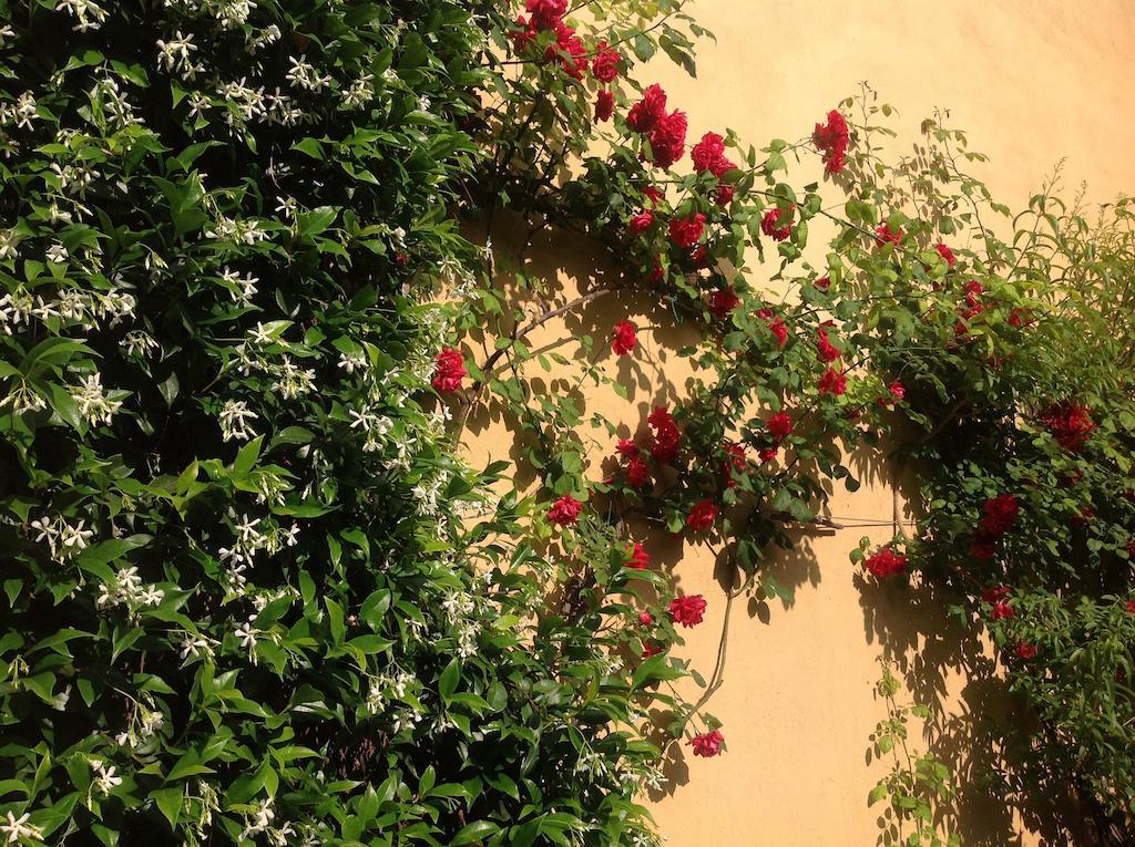 Albergo Giardinetto بيلاجيو المظهر الخارجي الصورة