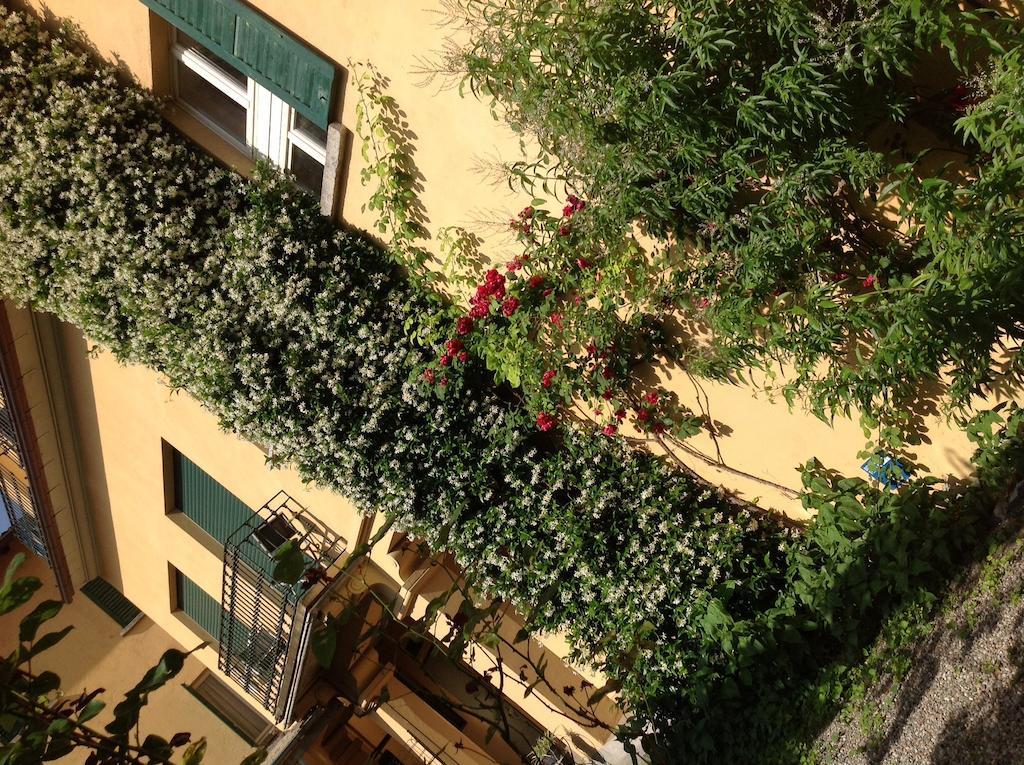 Albergo Giardinetto بيلاجيو المظهر الخارجي الصورة